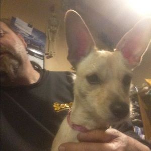 Meet your Posher, Teddy